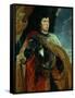 Charles the Bold of Burgundy (1433-1477)-Peter Paul Rubens-Framed Stretched Canvas