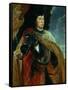 Charles the Bold of Burgundy (1433-1477)-Peter Paul Rubens-Framed Stretched Canvas