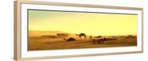 Brown Frame
