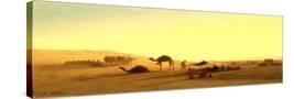 Stretched Canvas
