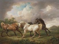 Three Horses in a Stormy Landscape-Charles Towne-Giclee Print