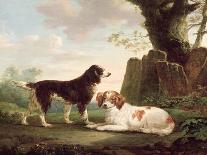 Two Spaniels in a Landscape-Charles Towne-Framed Giclee Print