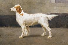 Portrait of a Dog, 1885-Charles Van Den Eycken-Giclee Print