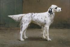 Portrait of a Dog, 1885-Charles Van Den Eycken-Giclee Print