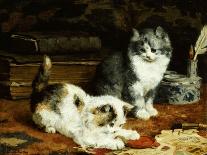 Kittens at Play-Charles Van Den Eycken-Giclee Print