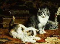 Kittens at Play-Charles Van Den Eycken-Giclee Print