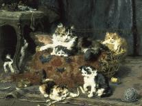 The Mischievous Cats-Charles Van Den Eycken-Giclee Print