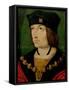 Charles VIII (1470-98) King of France-Jean Bourdichon-Framed Stretched Canvas