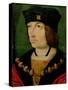 Charles VIII (1470-98) King of France-Jean Bourdichon-Stretched Canvas