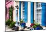 Charleston Colors IV-George Oze-Mounted Photographic Print