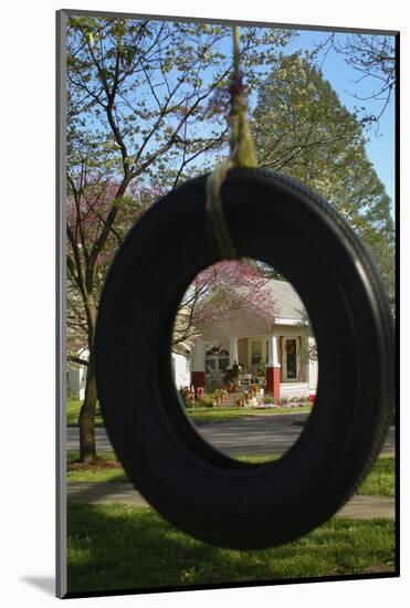 Charleston, Missouri, Dogwood Azalea Festival-Gayle Harper-Mounted Photographic Print