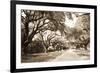 Charleston Oaks 10 Sepia-Alan Hausenflock-Framed Photographic Print