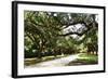 Charleston Oaks 4-Alan Hausenflock-Framed Photographic Print