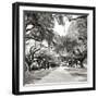 Charleston Oaks Sq X-Alan Hausenflock-Framed Photographic Print