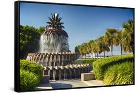 Charleston Pineapple Fountain-George Oze-Framed Stretched Canvas
