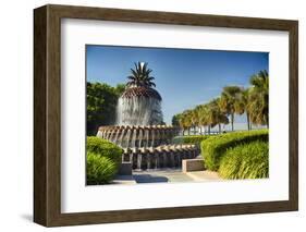 Charleston Pineapple Fountain-George Oze-Framed Photographic Print