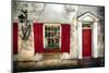 Charleston Red Door And Shutters-George Oze-Mounted Photographic Print