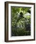 Charleston, South Caorlina, USA-Ethel Davies-Framed Photographic Print