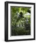 Charleston, South Caorlina, USA-Ethel Davies-Framed Photographic Print