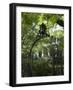 Charleston, South Caorlina, USA-Ethel Davies-Framed Photographic Print