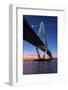 Charleston, South Carolina, Arthur Ravenel Junior Bridge, Cable-Stayed Bridge, Cooper River-John Coletti-Framed Photographic Print