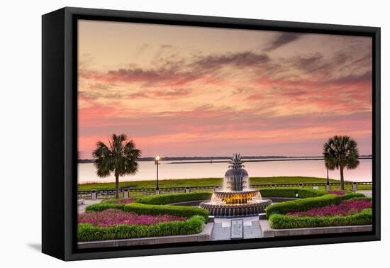 Charleston, South Carolina, USA at Waterfront Park.-SeanPavonePhoto-Framed Stretched Canvas