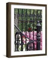 Charleston, South Carolina, USA-Adam Jones-Framed Photographic Print