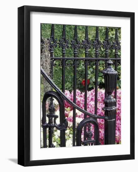 Charleston, South Carolina, USA-Adam Jones-Framed Photographic Print