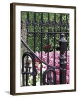 Charleston, South Carolina, USA-Adam Jones-Framed Photographic Print