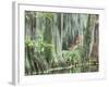 Charleston, South Carolina, USA-Adam Jones-Framed Photographic Print