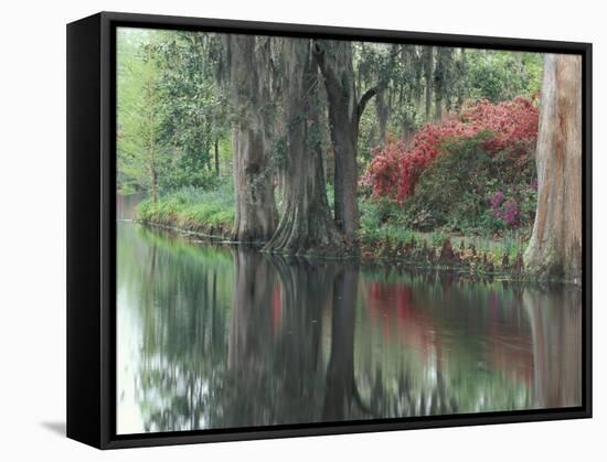 Charleston, South Carolina, USA-Adam Jones-Framed Stretched Canvas