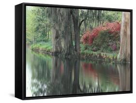 Charleston, South Carolina, USA-Adam Jones-Framed Stretched Canvas