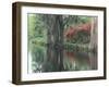 Charleston, South Carolina, USA-Adam Jones-Framed Premium Photographic Print