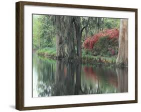 Charleston, South Carolina, USA-Adam Jones-Framed Photographic Print