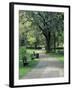 Charleston, South Carolina, USA-Adam Jones-Framed Premium Photographic Print