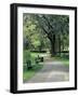 Charleston, South Carolina, USA-Adam Jones-Framed Photographic Print