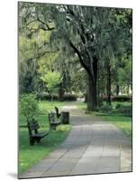 Charleston, South Carolina, USA-Adam Jones-Mounted Photographic Print