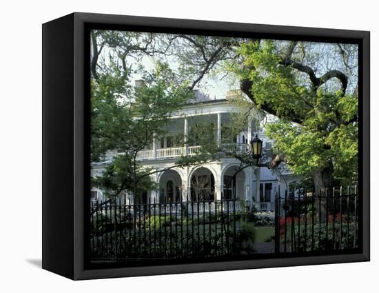 Charleston, South Carolina, USA-Adam Jones-Framed Stretched Canvas