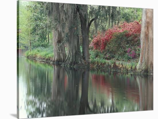 Charleston, South Carolina, USA-Adam Jones-Stretched Canvas