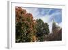 Charleston - State Capitol Building-benkrut-Framed Photographic Print