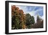 Charleston - State Capitol Building-benkrut-Framed Photographic Print