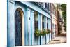 Charleston Street Colors, South Carolina-George Oze-Mounted Photographic Print