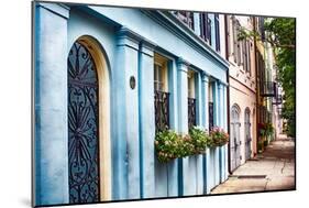 Charleston Street Colors, South Carolina-George Oze-Mounted Photographic Print