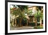 Charleston Streets-Alan Hausenflock-Framed Photographic Print