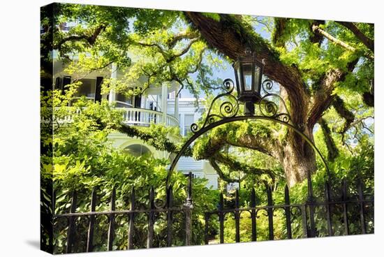 Charleston Villa Garden With Live Oak Tree-George Oze-Stretched Canvas