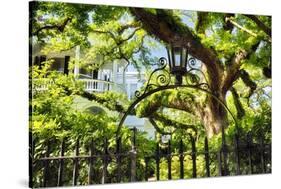 Charleston Villa Garden With Live Oak Tree-George Oze-Stretched Canvas