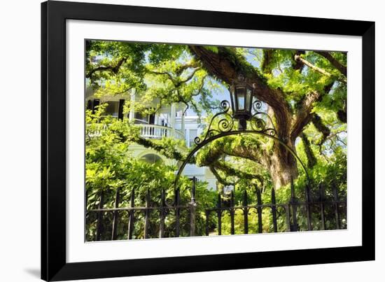 Charleston Villa Garden With Live Oak Tree-George Oze-Framed Photographic Print