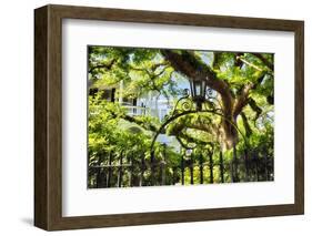 Charleston Villa Garden With Live Oak Tree-George Oze-Framed Photographic Print