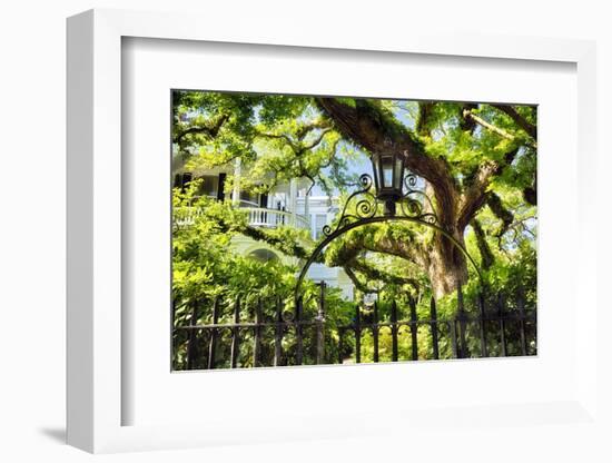 Charleston Villa Garden With Live Oak Tree-George Oze-Framed Photographic Print