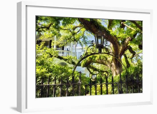 Charleston Villa Garden With Live Oak Tree-George Oze-Framed Photographic Print